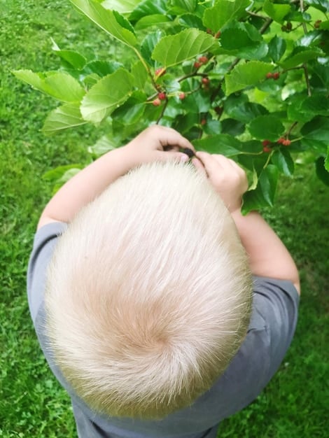 Long-Term Effects of Hair Loss Prevention Products: What to Expect After 5 Years