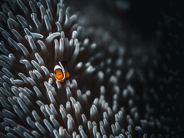 A microscopic view of sperm cells being affected by a non-hormonal contraceptive agent. The sperm cells appear less active and deformed, illustrating the pill's mechanism of action.