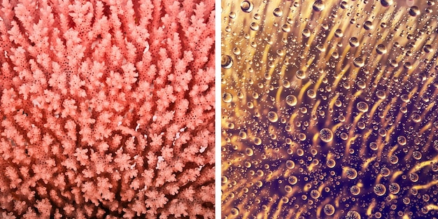 A split image showing oily skin on one side (shiny, large pores) and dry skin on the other (flaky, tight).