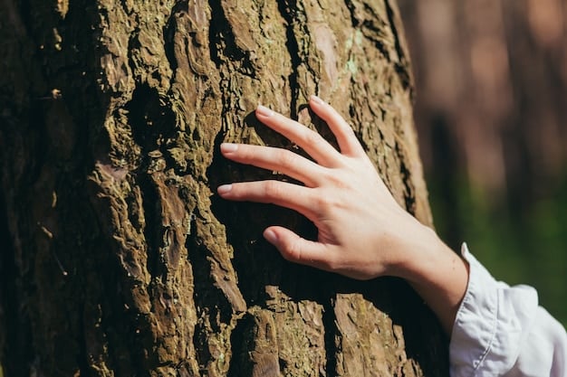 A close-up shot of someone's hands touching the bark of a tree in a forest, sunlight filtering through the leaves, emphasizing the tactile connection with nature.