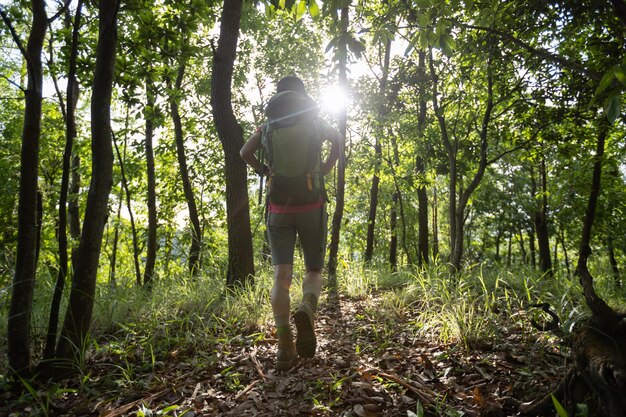 A person hiking a trail through a lush forest, with sunlight dappling through the leaves, symbolizing improved focus and mental clarity.