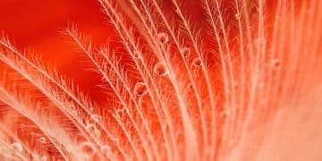 The Truth About Male Fertility: 5 Factors Affecting Sperm Count - Cover Image