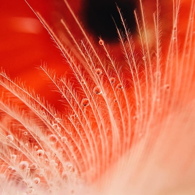 The Truth About Male Fertility: 5 Factors Affecting Sperm Count