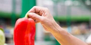 The Impact of Diet and Exercise on Sexual Function: Expert Recommendations - Internal Image 1