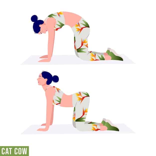 A person on a yoga mat performing the Cat-Cow stretch, showing the arched back of the cow pose in clear detail. The setting is bright and clean.