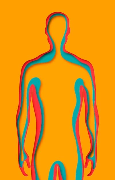 A stylized graphic depicting a male figure with various arrows pointing to different organs and systems, illustrating the widespread effects of testosterone on the body beyond sexual health. Use a clean, infographic style with muted science-themed colors.