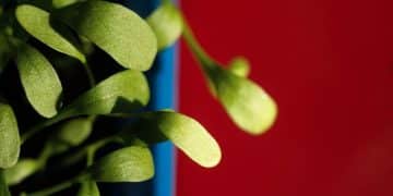 Boost Sperm & Fertility Naturally: 2025 Strategies - Cover Image