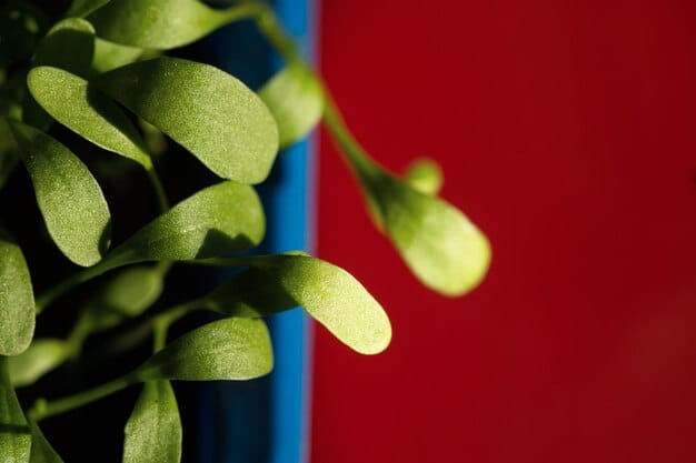 Boost Sperm & Fertility Naturally: 2025 Strategies