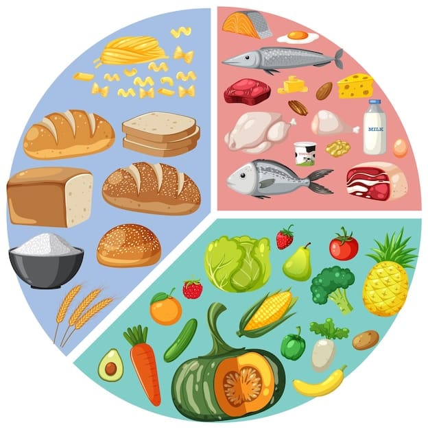 A detailed illustration of balanced meal components like whole grains, lean protein, fruits, and vegetables, emphasizing healthy eating for diabetes and ED management.