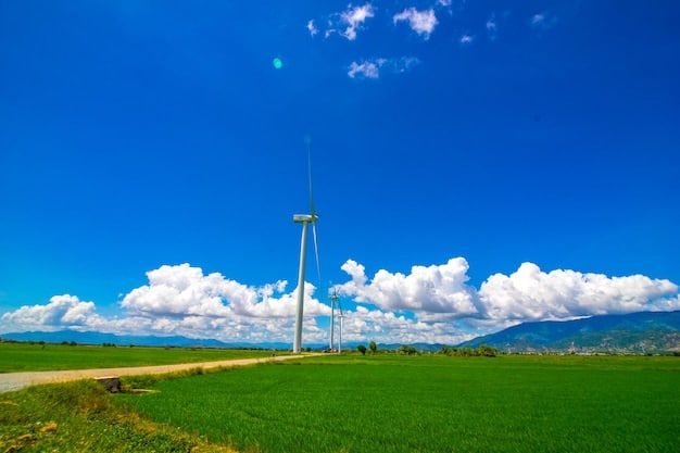 A vast solar panel field with wind turbines in the background under a clear blue sky, visually representing the renewable energy industry's growth and its role in 
