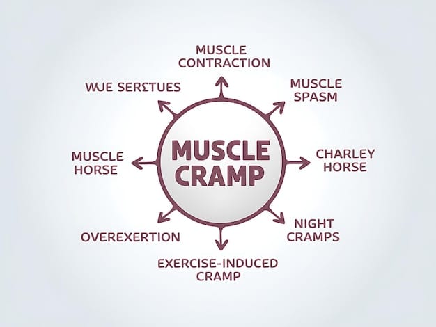 A detailed infographic illustrating the muscle groups targeted on each day of a 5-day split workout routine. Clear distinctions should be made between the chest, back, legs, shoulders, and arms. The infographic aims to visually represent Maximize Muscle Growth: The 5-Day Split Workout Plan for 2025.