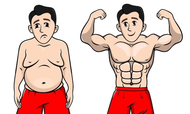 A graphic illustrating before-and-after muscle growth after creatine supplementation, with the 