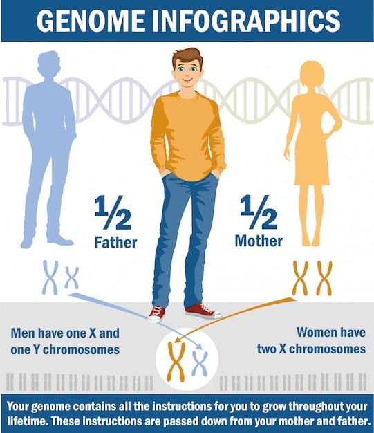 An infographic illustrating the prevalence of premature ejaculation among men of different age groups and demographics in the US. The infographic includes data points, charts, and brief explanations. Decoding the Latest FDA Approvals for Premature Ejaculation Treatments is mentioned in a callout box.