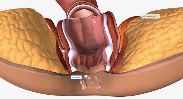 A detailed diagram illustrating the anatomy of the penis, showing the corpus cavernosum and the injection site for penile injections, highlighting the direct delivery of medication for treating erectile dysfunction.