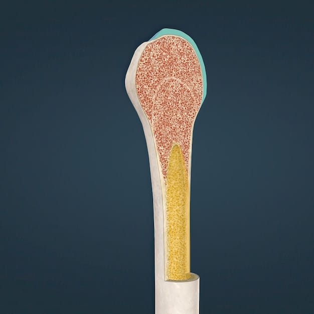A detailed illustration comparing the internal mechanisms of an older malleable penile implant versus a modern inflatable penile implant. The illustration highlights the complexity and sophistication of the inflatable implant, showcasing the pump, reservoir, and cylinders. A callout text mentions 